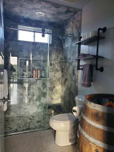 a bathroom with a toilet and a glass shower at Stevie Ray In The Hill Country - Hacienda Amor in Johnson City