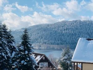 a house with a view of a lake and a mountain at Duplex dans chalet avec superbe vue lac et piscine commune in Gérardmer