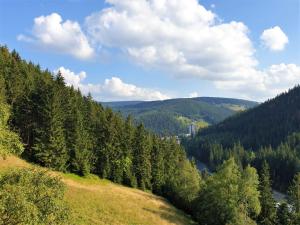 Príroda v okolí apartmánu