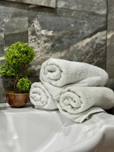 a pile of towels sitting on top of a bathroom sink at Пансион Роди in Silistra