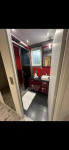 un bagno con lavandino e specchio di Studio a Saint-Maurice