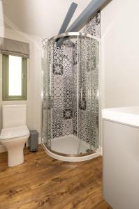 a bathroom with a shower and a toilet at Birch Banc Retreats - Glyn-Haul, New Enc Decking in Llanidloes