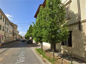 drzewo na boku ulicy obok budynku w obiekcie Appartamento Firenze Mayer we Florencji