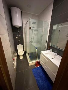 ein Badezimmer mit Dusche, Toilette und Waschbecken in der Unterkunft Bakva's apartment in Batumi + 13 Fotos