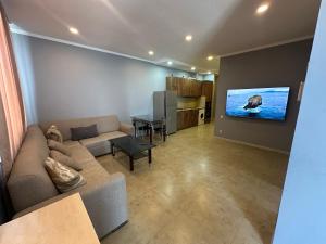 ein Wohnzimmer mit einem Sofa und einem TV an der Wand in der Unterkunft Bakva's apartment in Batumi
