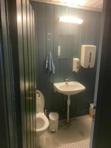 a bathroom with a toilet and a sink at Velferden Mågerø in Nord Måkerøy
