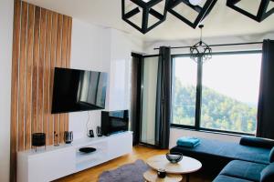 TV i/ili multimedijalni sistem u objektu Aspectus apartmani Divcibare