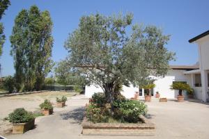 Zahrada ubytování Villa Capodacqua
