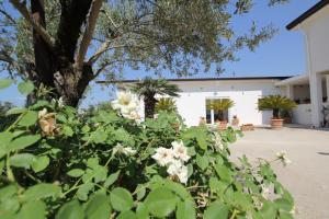 Zahrada ubytování Villa Capodacqua