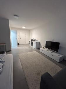 Μια τηλεόραση ή/και κέντρο ψυχαγωγίας στο Neue Studio Wohnung in Walldorf