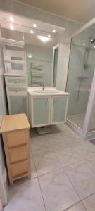 a bathroom with a sink and a shower at La Pampa in Mimizan