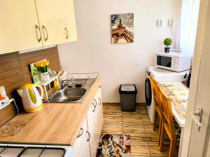 A kitchen or kitchenette at Atlantis apartman