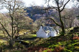 a small white house in a field with trees at Sawmill Cottage in Acharacle