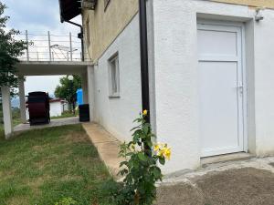 a plant with yellow flowers next to a garage door at Apartment rebl Breza in Breza