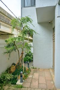 青隅民宿外面的花园