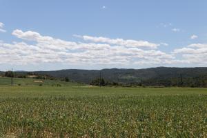 Príroda v okolí of the country house