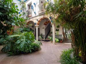 Κήπος έξω από το BHost - Las Cañas