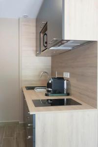 a kitchen with a sink and a microwave at Aux cerisiers Olivet in Olivet