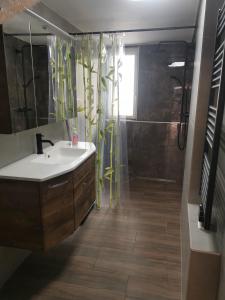 a bathroom with a sink and a shower at Ferienhaus mit Garten und Terrasse, zentral und ruhig in Freyburg