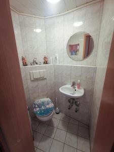 a bathroom with a toilet and a sink at Ferienhaus mit Garten und Terrasse, zentral und ruhig in Freyburg +27 photos