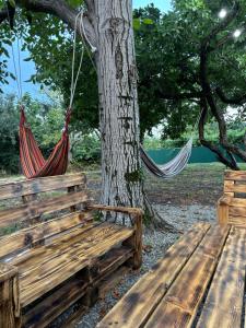 Κήπος έξω από το Hostel VANTA