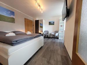 Μια τηλεόραση ή/και κέντρο ψυχαγωγίας στο VINEU - Bed & Breakfast