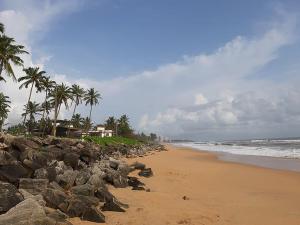 a beach with rocks and palm trees and the ocean at Kanav homestay in Kannur