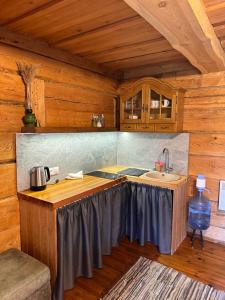 Priežmuiža في بافيلوستا: مطبخ مع حوض وكاونتر في كابينة