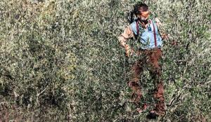 Fotografie z fotogalerie ubytování podere la casellina v destinaci Figline Valdarno