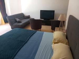 una camera da letto con un letto, un divano e una televisione di les Ormes de Belluire a Belluire