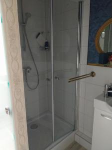 a shower with a glass door in a bathroom at Ferienwohnung Rosi in Naumburg +18 photos