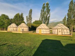 a group of four domes in a field at Kilemche Boutique Hotel & Yurt Camp in Bagysh