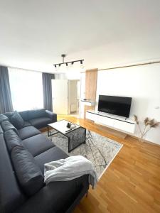 Μια τηλεόραση ή/και κέντρο ψυχαγωγίας στο Quiet Luxe Apartment