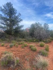 Fotografie z fotogalerie ubytování The Tiny House v destinaci Sedona