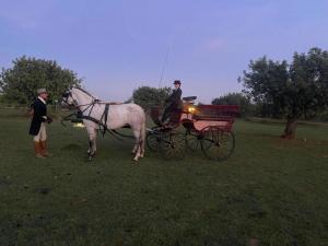 Hosté ubytování J&L Glamping
