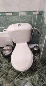 a bathroom with a white toilet in a room at Panoramic Apartment 301 in Eagle Rock Complex in Beli Iskar