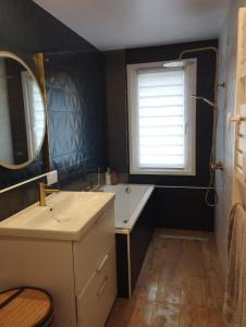 a bathroom with a sink and a mirror at Charmante maison dans village in Retheuil