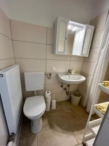 Un baño pequeño con inodoro y lavabo. en Strandhotel Prinz, en Ossiach