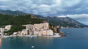 a group of buildings on a hill next to the water at Apartmani Svetionik in Budva