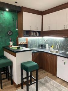 מטבח או מטבחון ב-Apartman Aleksandar 2