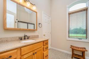 a bathroom with a sink and a mirror at License to Chill in Swanton