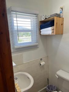 サウス・フォークにあるCozy cabin #4 at Aspen Ridge Cabinsの洗面台、トイレ、窓のあるバスルーム