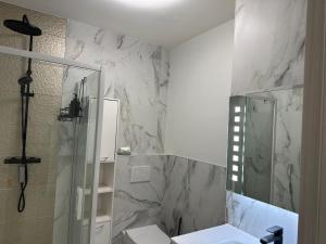 カンヌにあるSuper Apartment, Parking, Terrace, Lift, WIFI, Palm Beach, Cannesのシャワーと洗面台を備えた白いバスルーム +14枚の写真