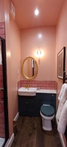 a bathroom with a sink and a toilet and a mirror at The Nest at Corbies Rest in Inverness