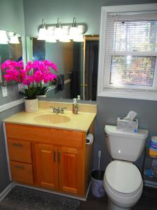 a bathroom with a sink and a toilet and a mirror at Lake Therapy - Lakefront, Charming, And Fun! in Mancelona +42 photos