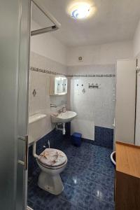 łazienka z toaletą i umywalką w obiekcie Apartment Pinezici 5319b w mieście Pinezići
