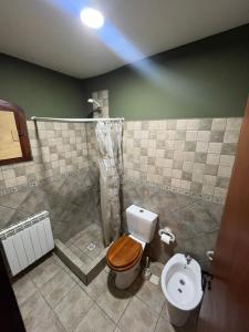 a bathroom with a toilet and a shower at La Margarita in El Bolsón +9 photos