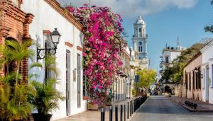 a street with flowers on the side of buildings at Hostal María Fernanda in Santo Domingo