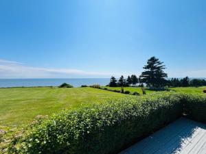 Gallery image of Xiao's Island Paradise in Rice Point +10 photos