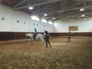 a group of people riding a horse in a building at Inn Golegã in Golegã